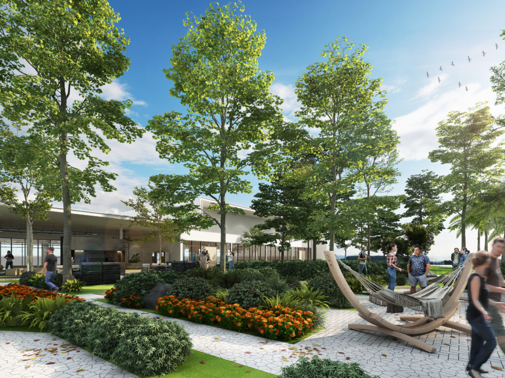 Garden view